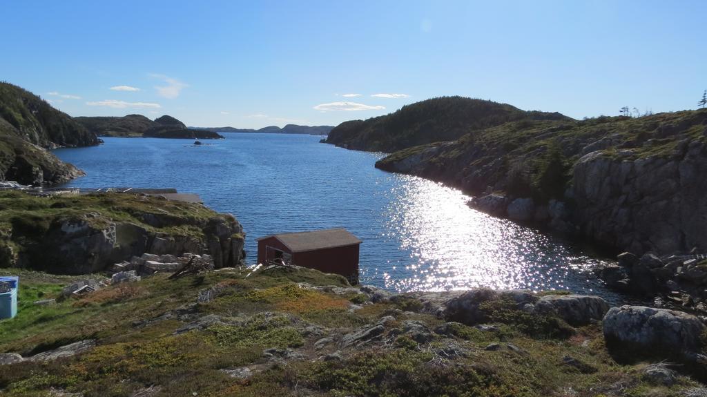 The Old Salt Box Co. - Daisy's Place Herring Neck